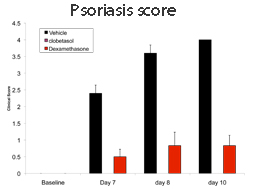 IMQ-induced psoriasis, preclinical model, psoriasis score, contract research organization, pre-clinical CRO