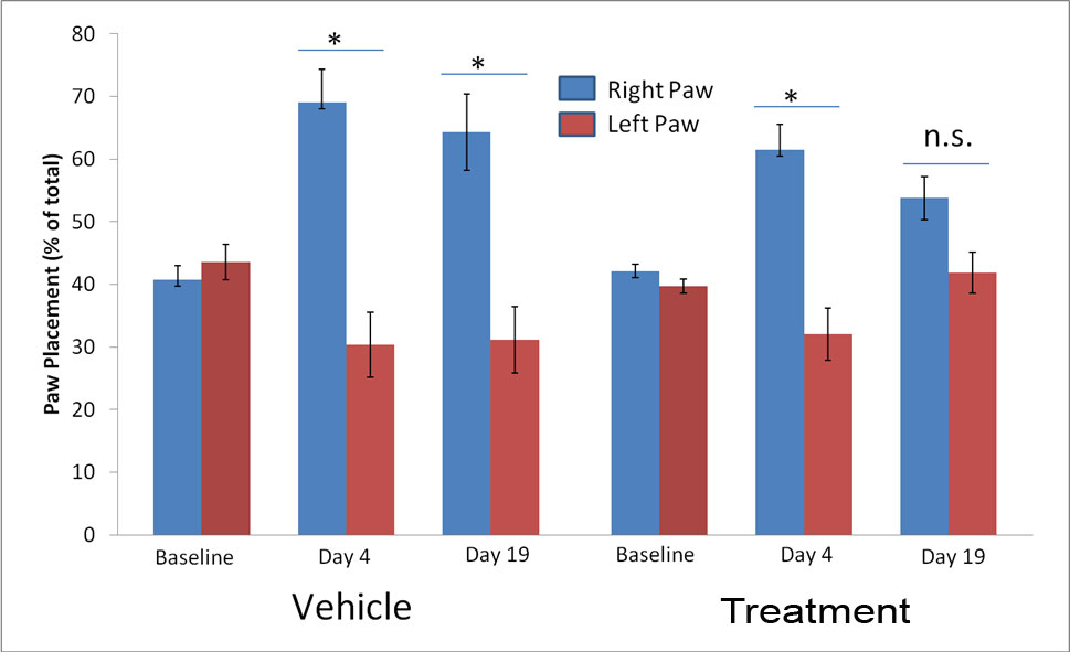 Paw placement test in the 6-OHDA induced parkinson's disease efficacy model