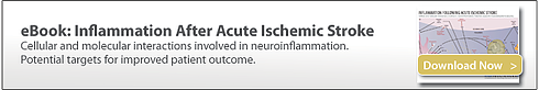 inflammation after acute ischemic stroke, preclinical CNS CRO, non-clinical CNS studies