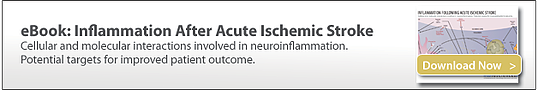 preclinical models for ischemic stroke, MCAo and 4VO, pre-clinical contract research organization, CRO