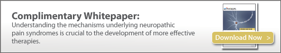 preclinical models of neuropathic pain, allodynia, hyperalgesia, preclinical contract research (CRO)
