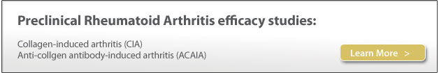 Preclinical efficacy studies, rheumatoid arthritis, preclinical contract research (CRO), collagen-induced arthritis (CIA), anti-collagen antibody-induced arthritis (ACAIA)