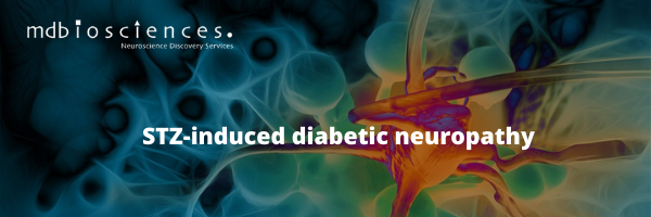 STZ-induced diabetic neuropathy