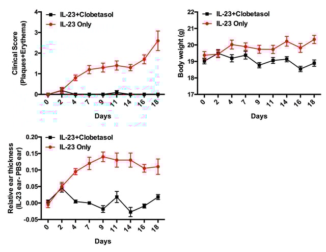 Il 23 Induced Psoriasis Like Preclinical Model Of Inflammation