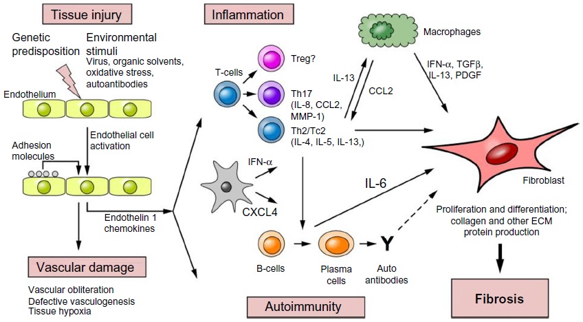 fig1 scleroderma